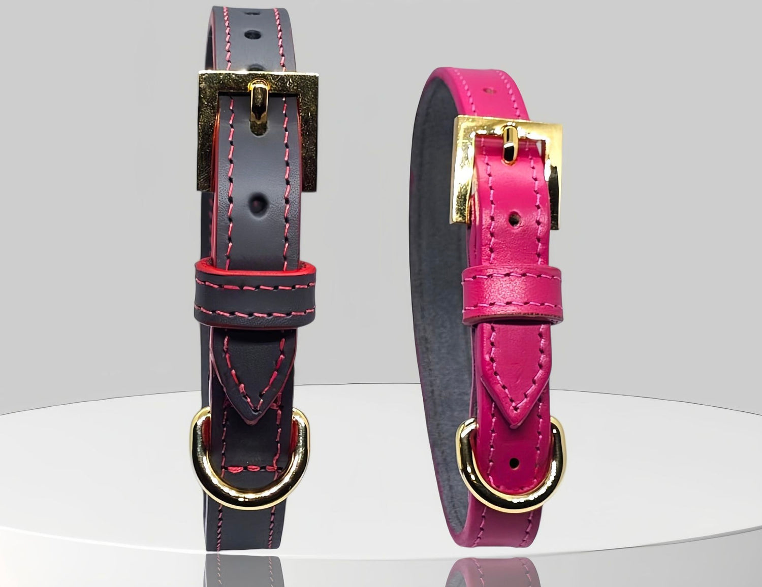 Dog Collars