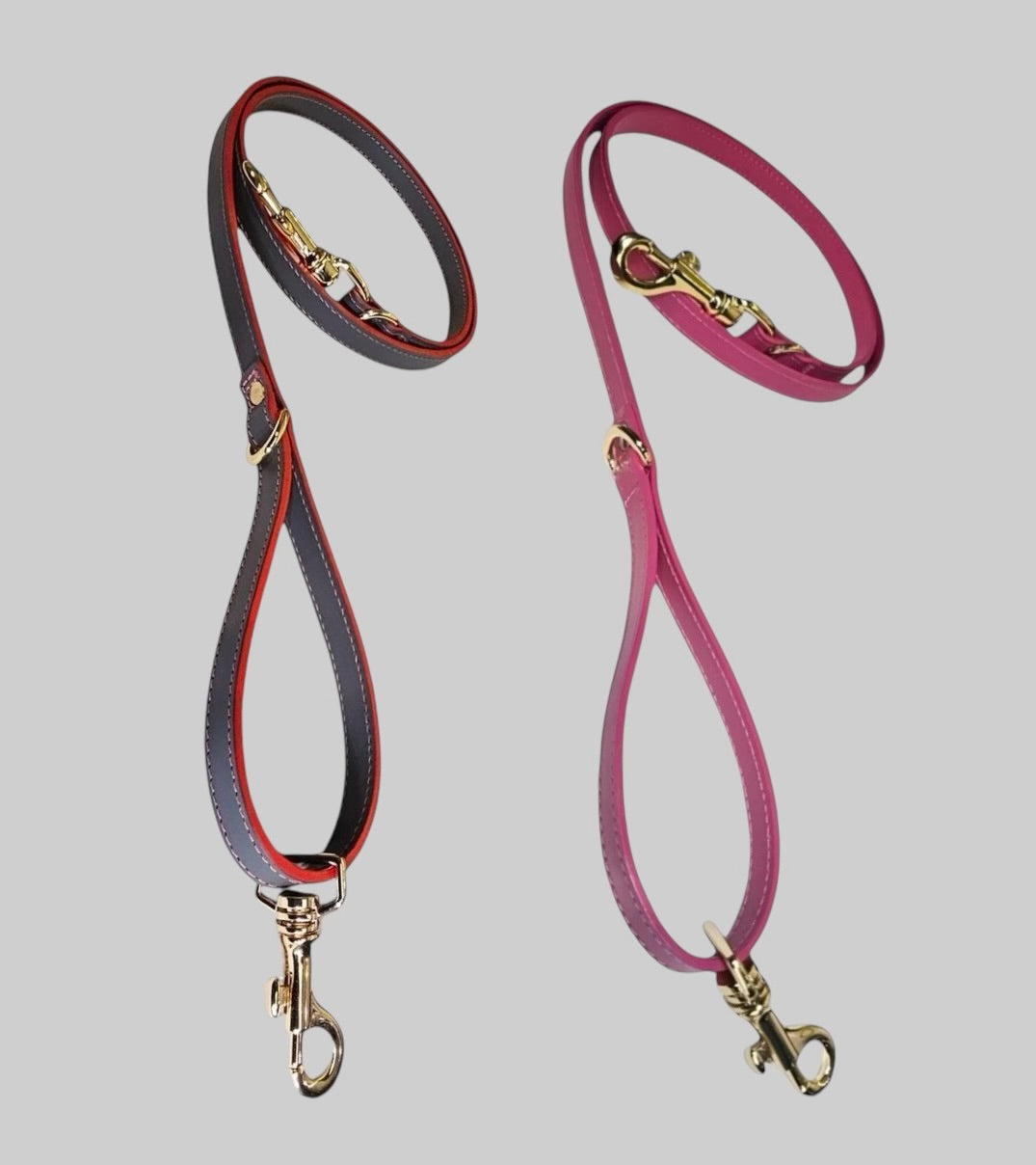 Dog Leads